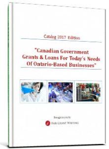 Consultation on Government Funding for Canadian Businesses